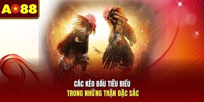 Các kèo đấu tiêu biểu trong những trận đặc sắc