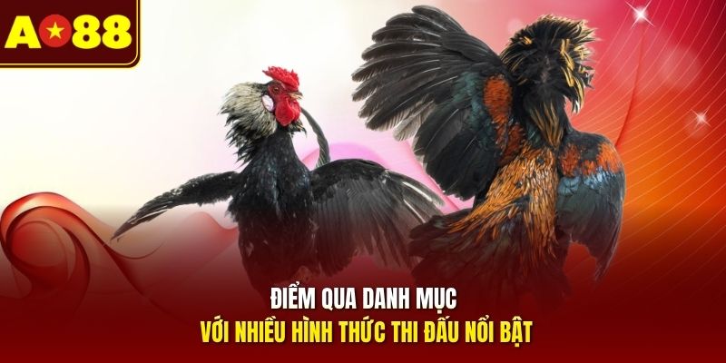 Điểm qua danh mục với nhiều hình thức thi đấu nổi bật