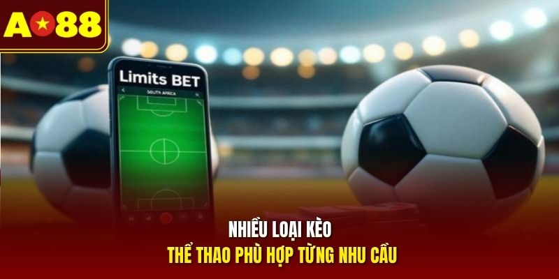 Nhiều loại kèo thể thao phù hợp từng nhu cầu